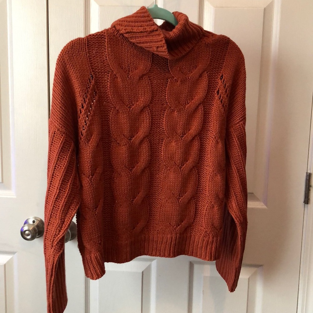 This is burnt orange turtle neck sweater